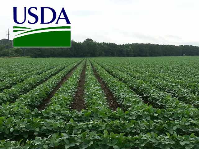 WASDE: Ending Stocks for New-Crop, Old-Crop Soybeans Cut | AgWeb