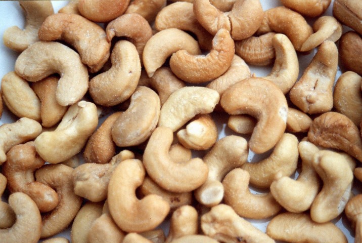 cashew prices today