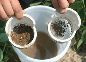 p20 Give Your Soil a Physical Exam 5