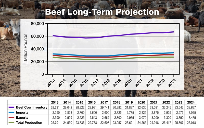 1-Beef-Long-Term-Projection