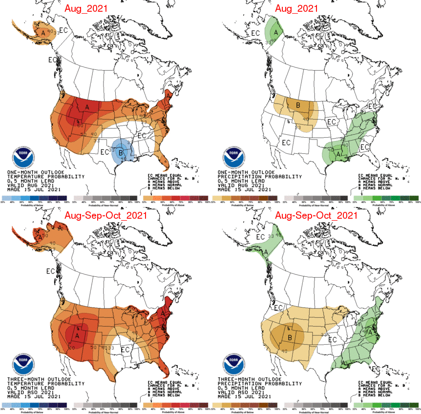 Long-term weather maps