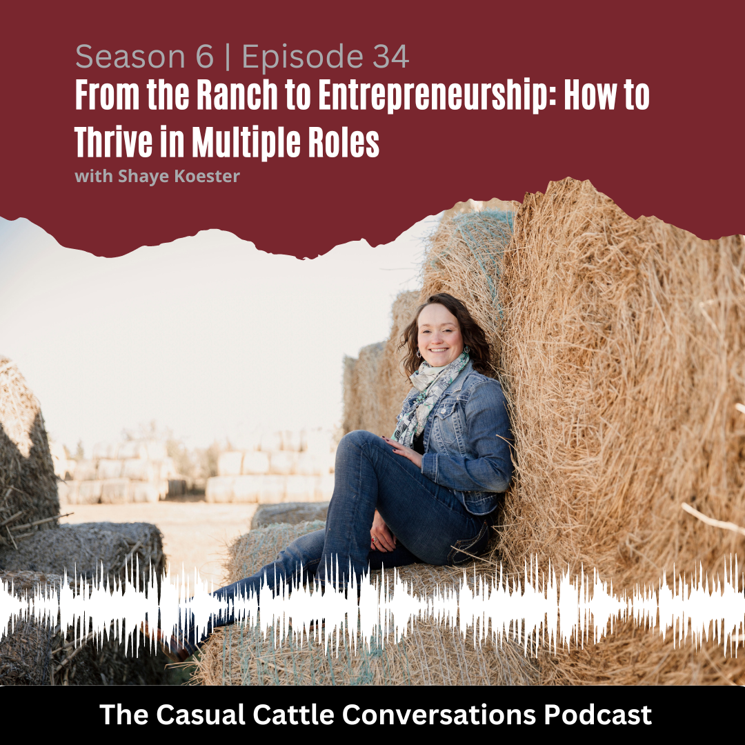 Casual Cattle Conversations - Year One Recap