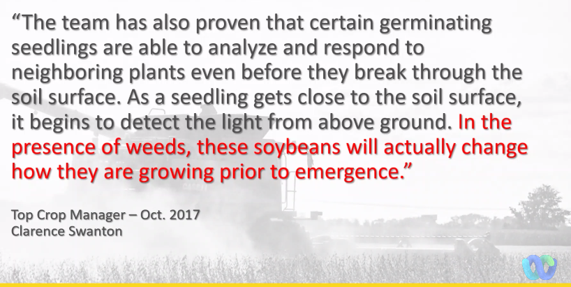 soybeans can sense weeds