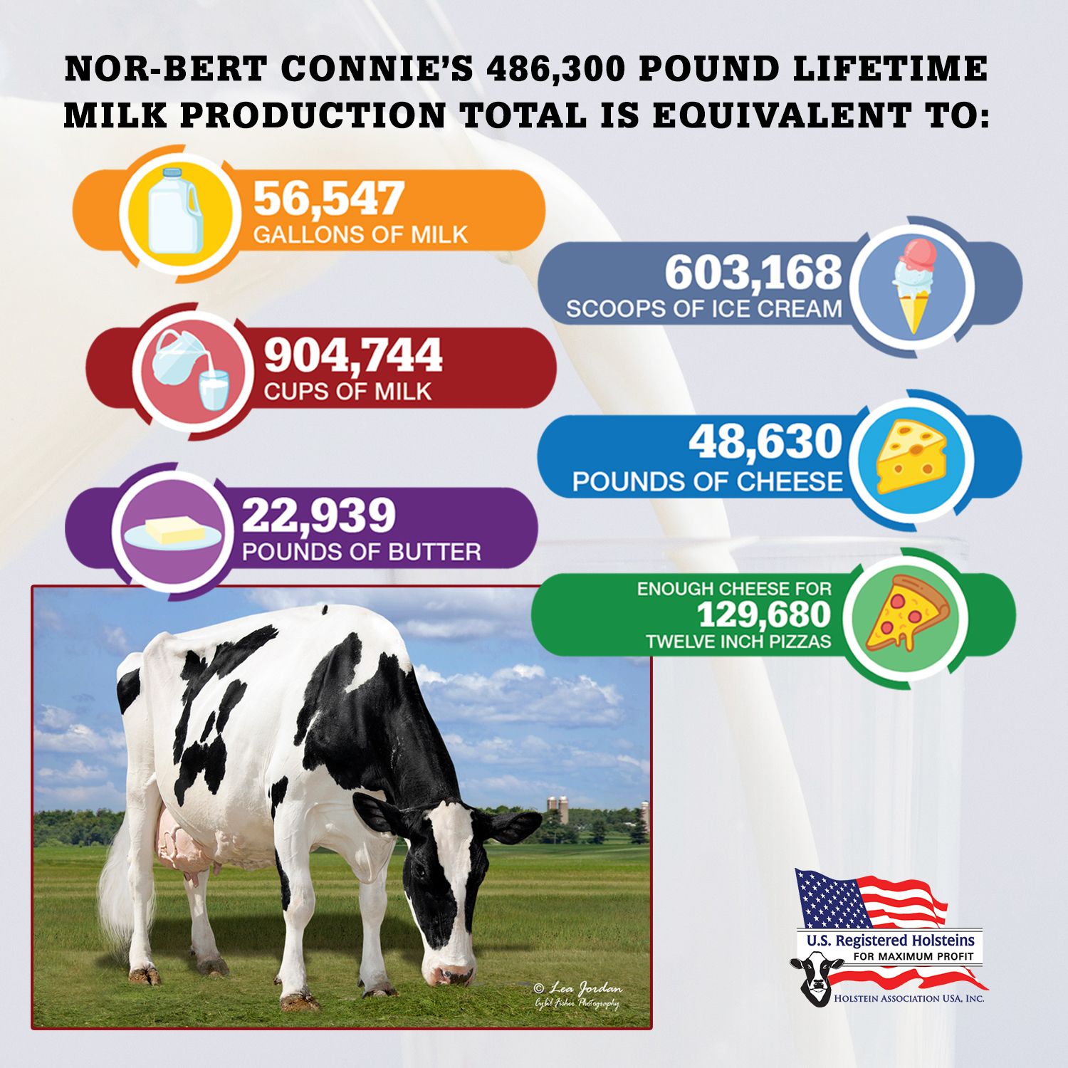 Holstein USA