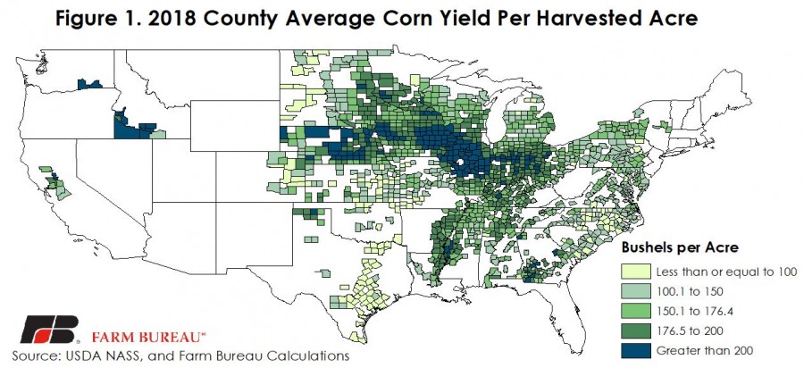 economic-forecast-for-corn-production-next-season-integrated-pest-and