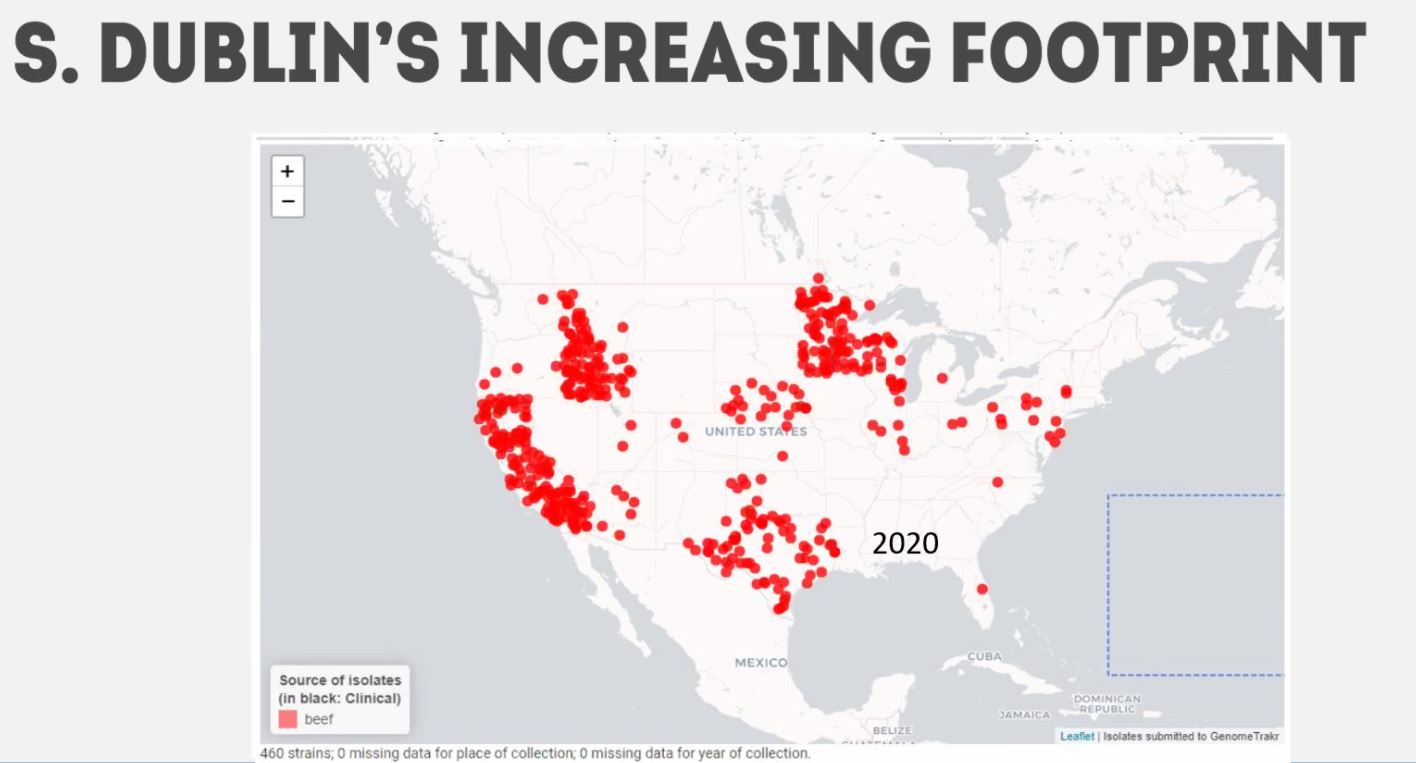 S. Dublin in Beef 2020