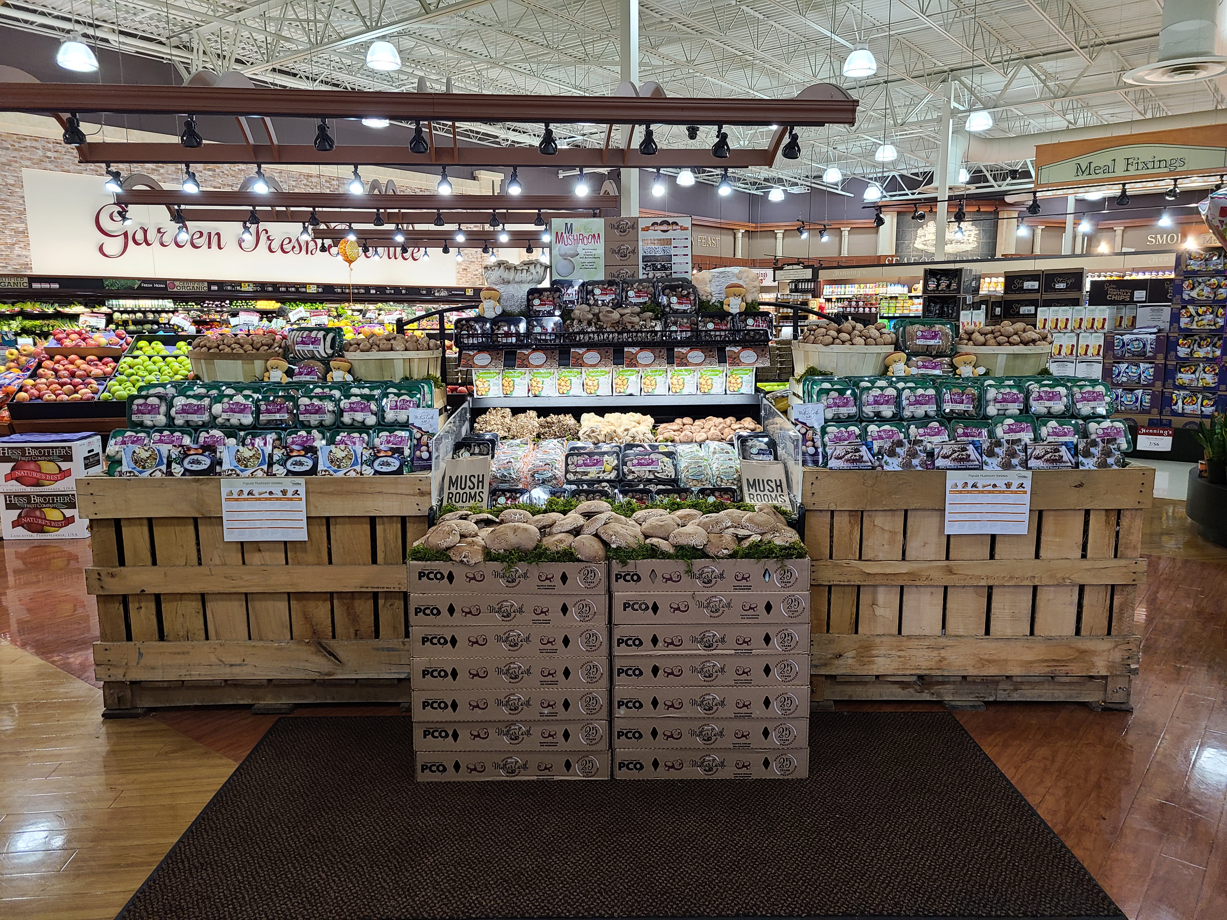 Mushroom display