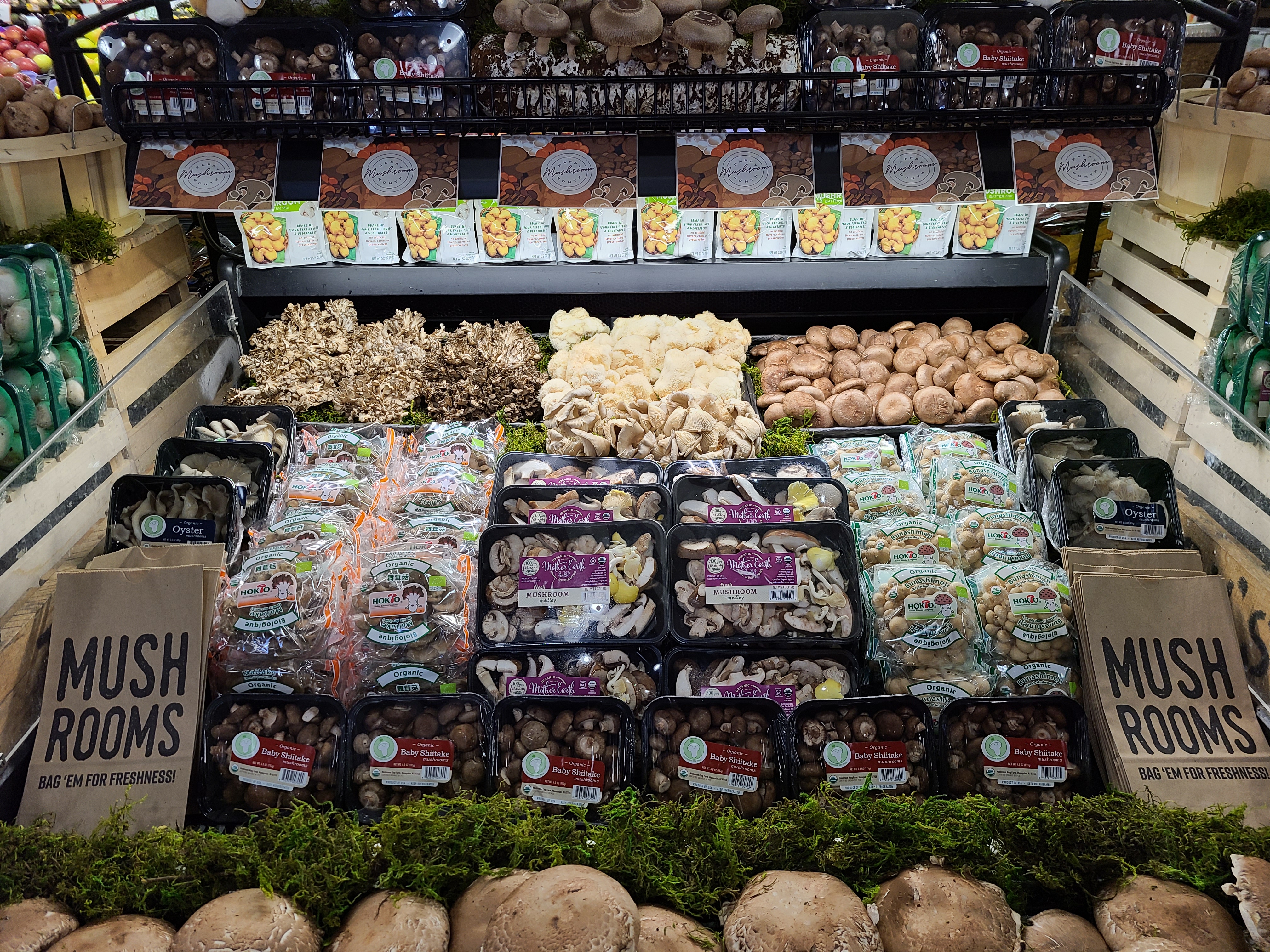 Mushroom display