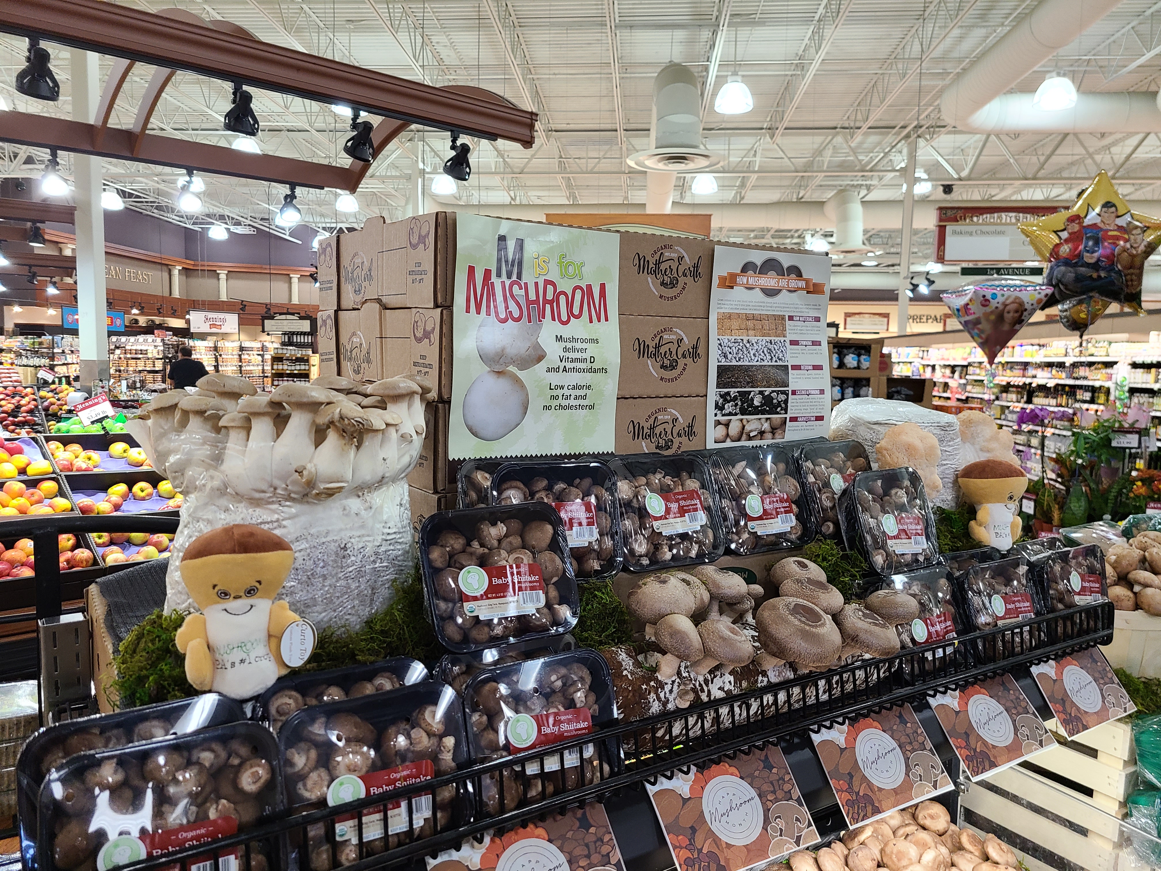 Mushroom display