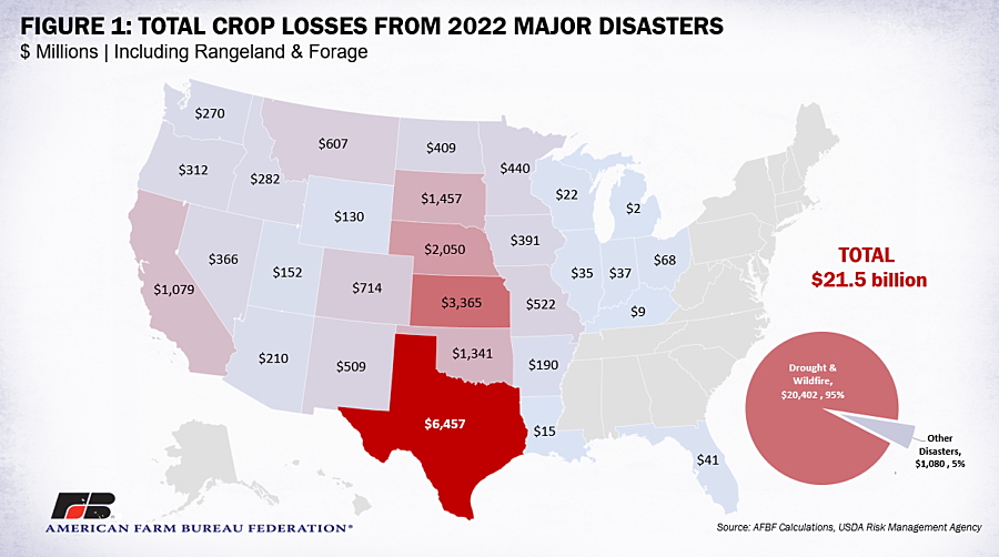 2022 Disasters by State