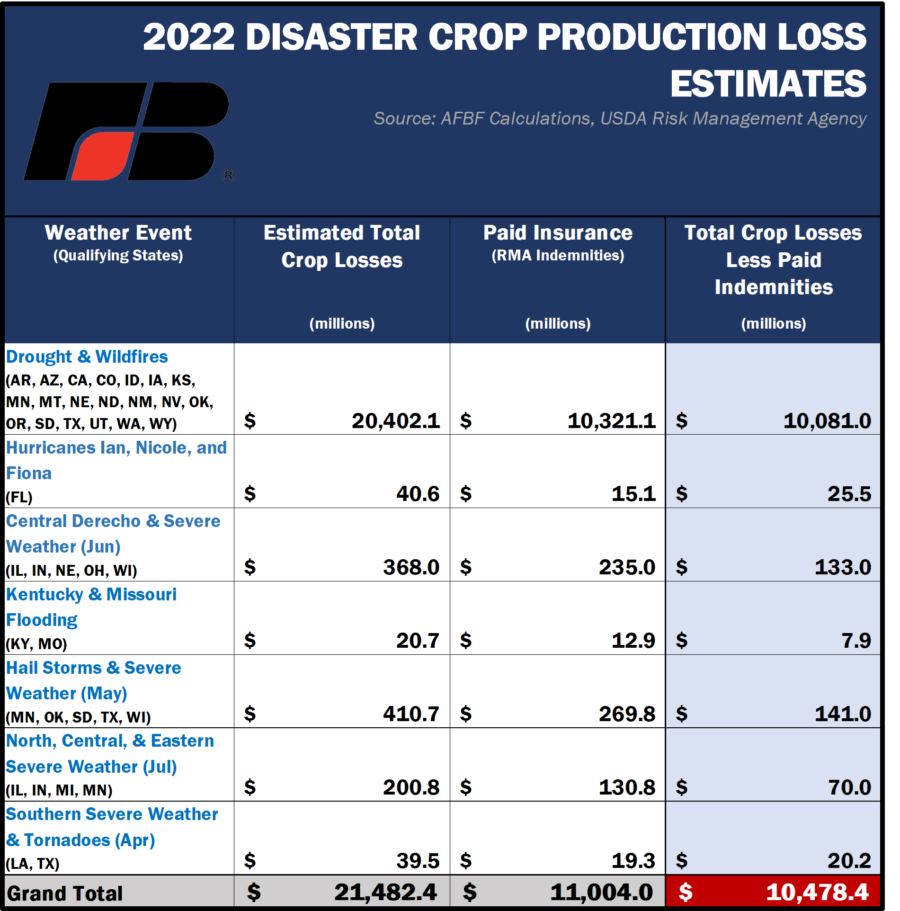 2022 Disaster Losses