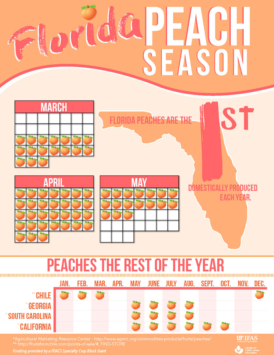 When Is Peach Season In The South?