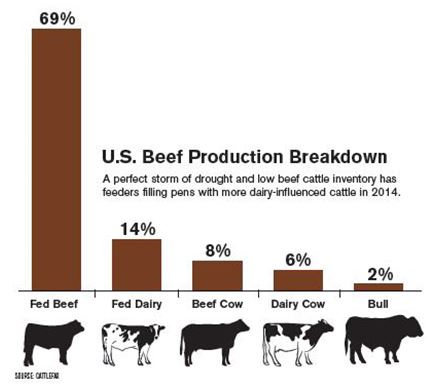 Dairy Industry Boosts Beef Production | Drovers