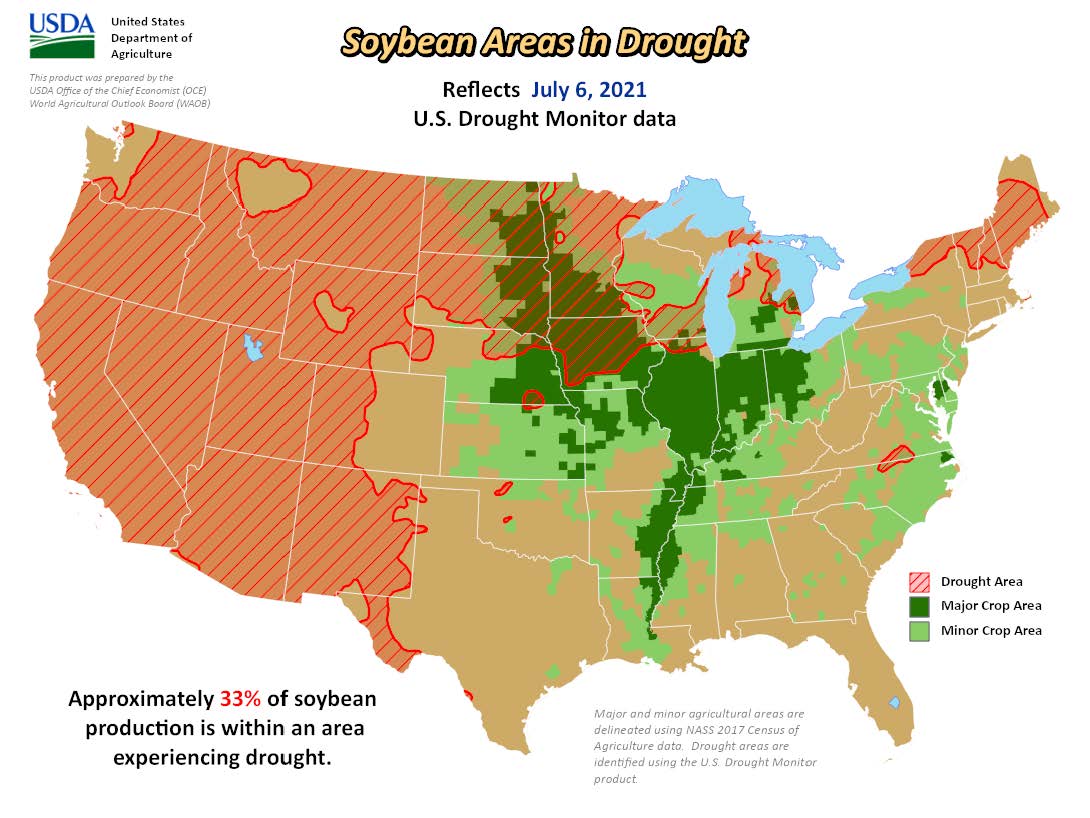 soybeans in drought