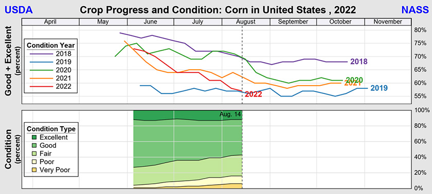 Corn Condition Rating