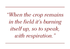 “When the crop remains in the field it’s burning itself up, so to speak, with respiration.”