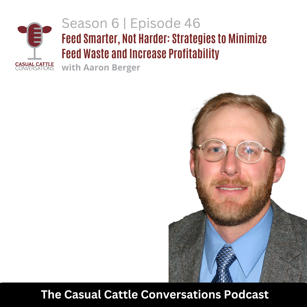 Aaron Berger - Casual Cattle Conversations