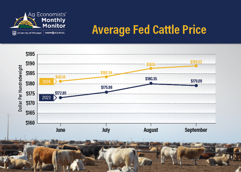 cattle prices 