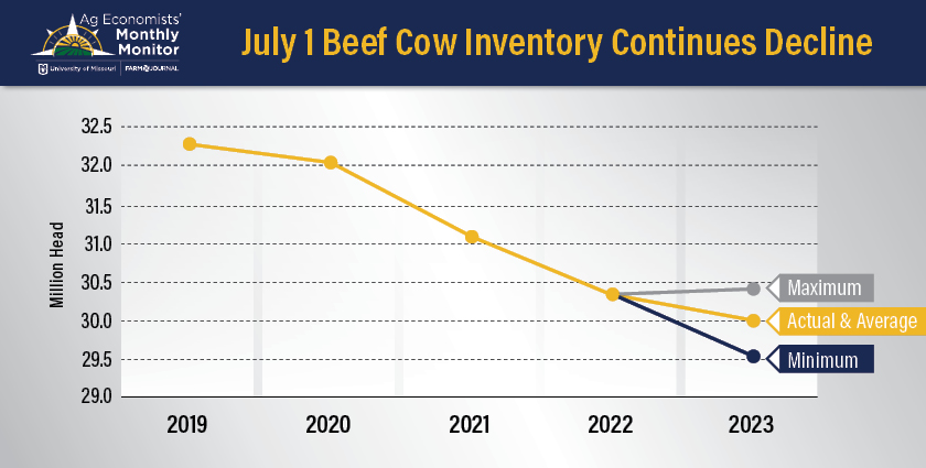 Beef Cow Inventory