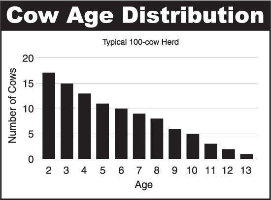 Cow_Age_Distribution