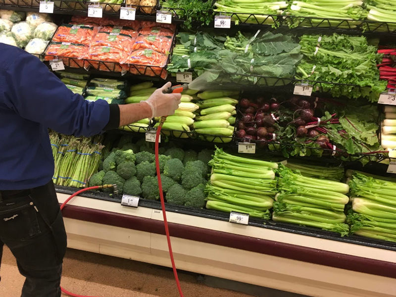 A partial profile of a person sticks out from the left, wearing a navy blue shirt, black pants and a sanitary glove. They are holding a red spayer connected to a red hose, and they are spraying water mist over an assortment of vegetables on a store's produce department racks.