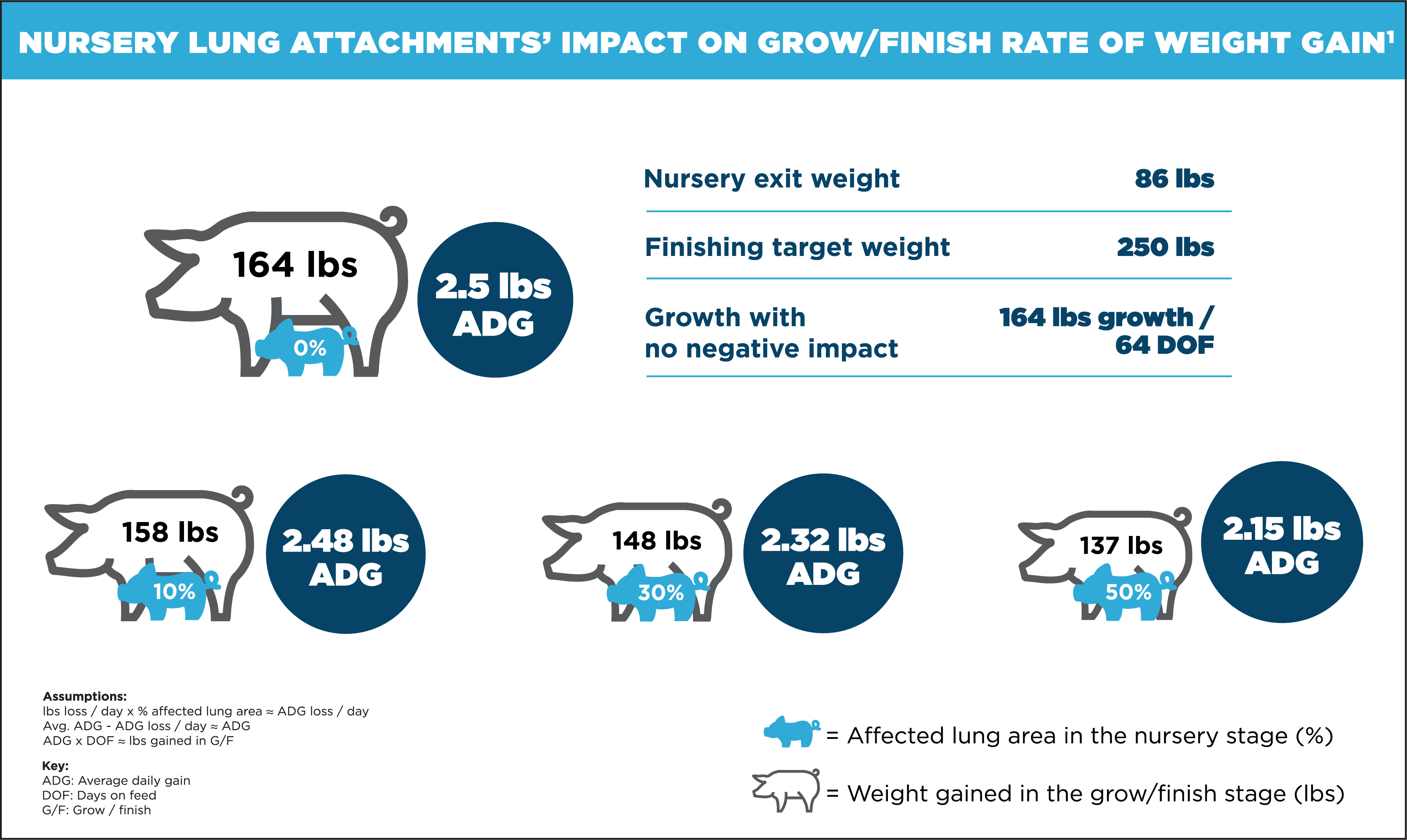 Chart showing Nursery Lung Attachment's Impact on Grow/Finish Rate of Weight Gain