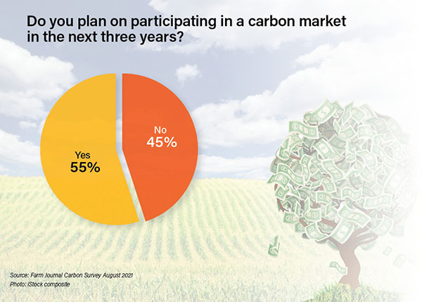 Farmer plans to enter the carbon market