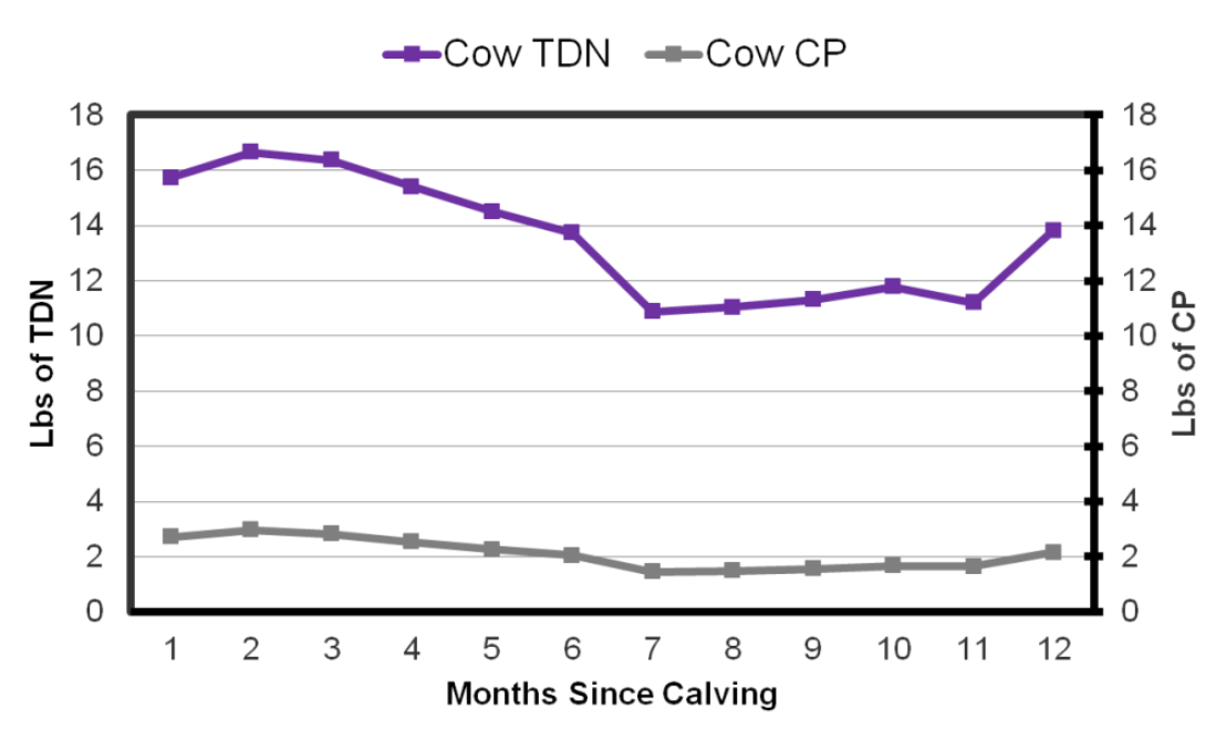 Cow TDN and CP