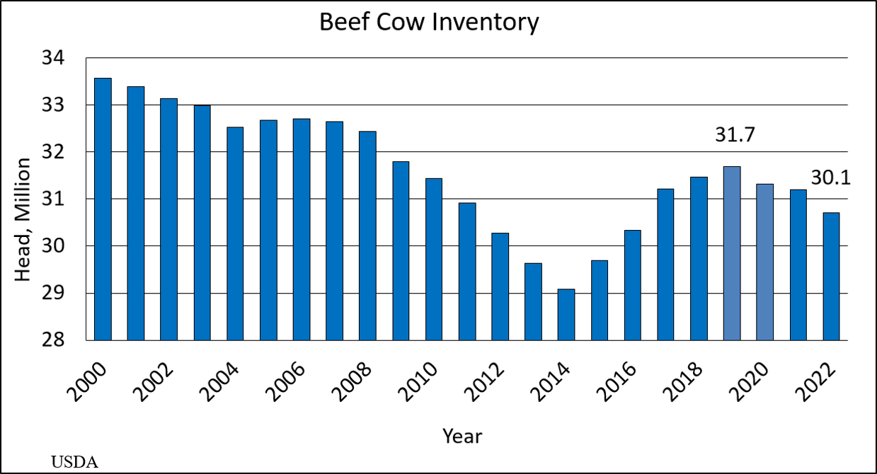 Beef Cow Inventory--January 2022