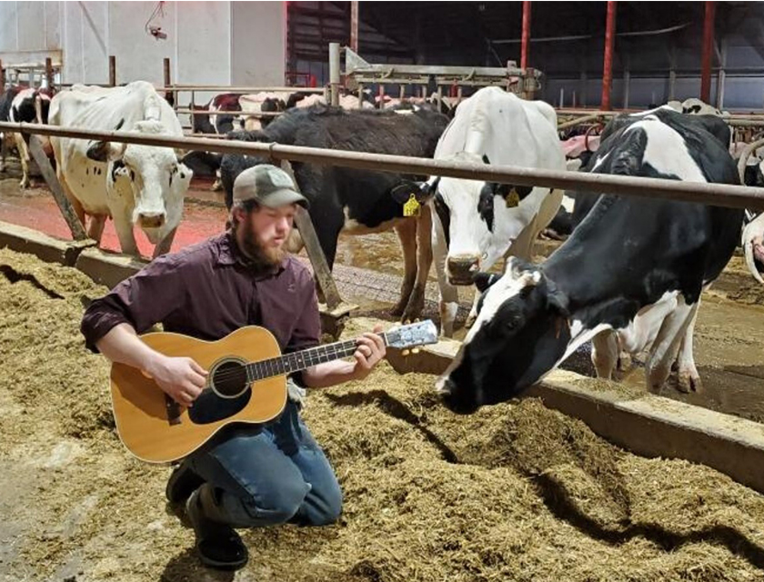 Sleeping With the Cows: A Unique Bed and Breakfast Experience | Bovine ...