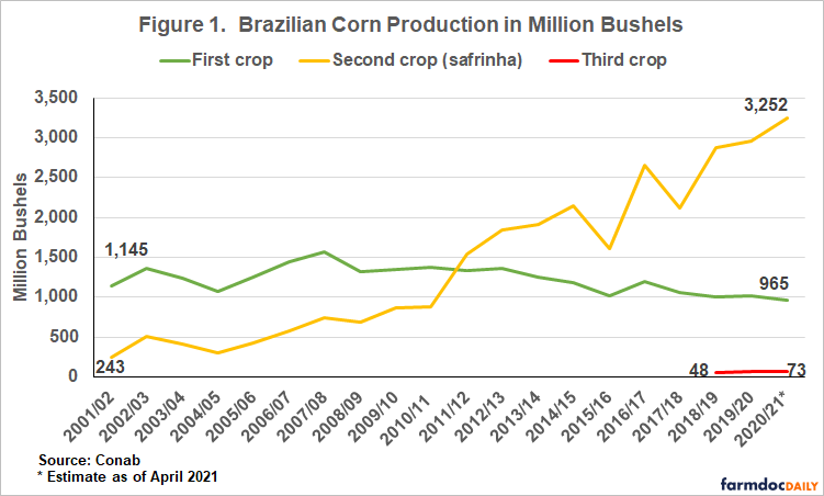 Brazil Corn Crops