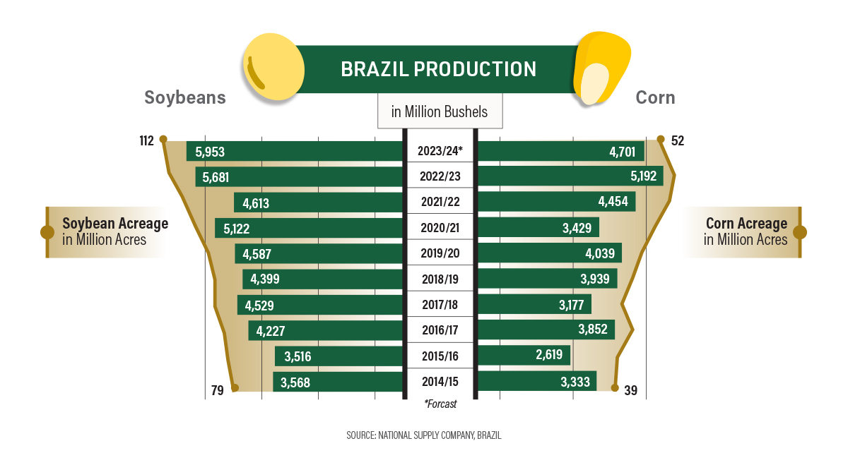 Mais hectares, mais arbustos: um olhar de 10 anos sobre como a produção de milho e soja no Brasil explodiu