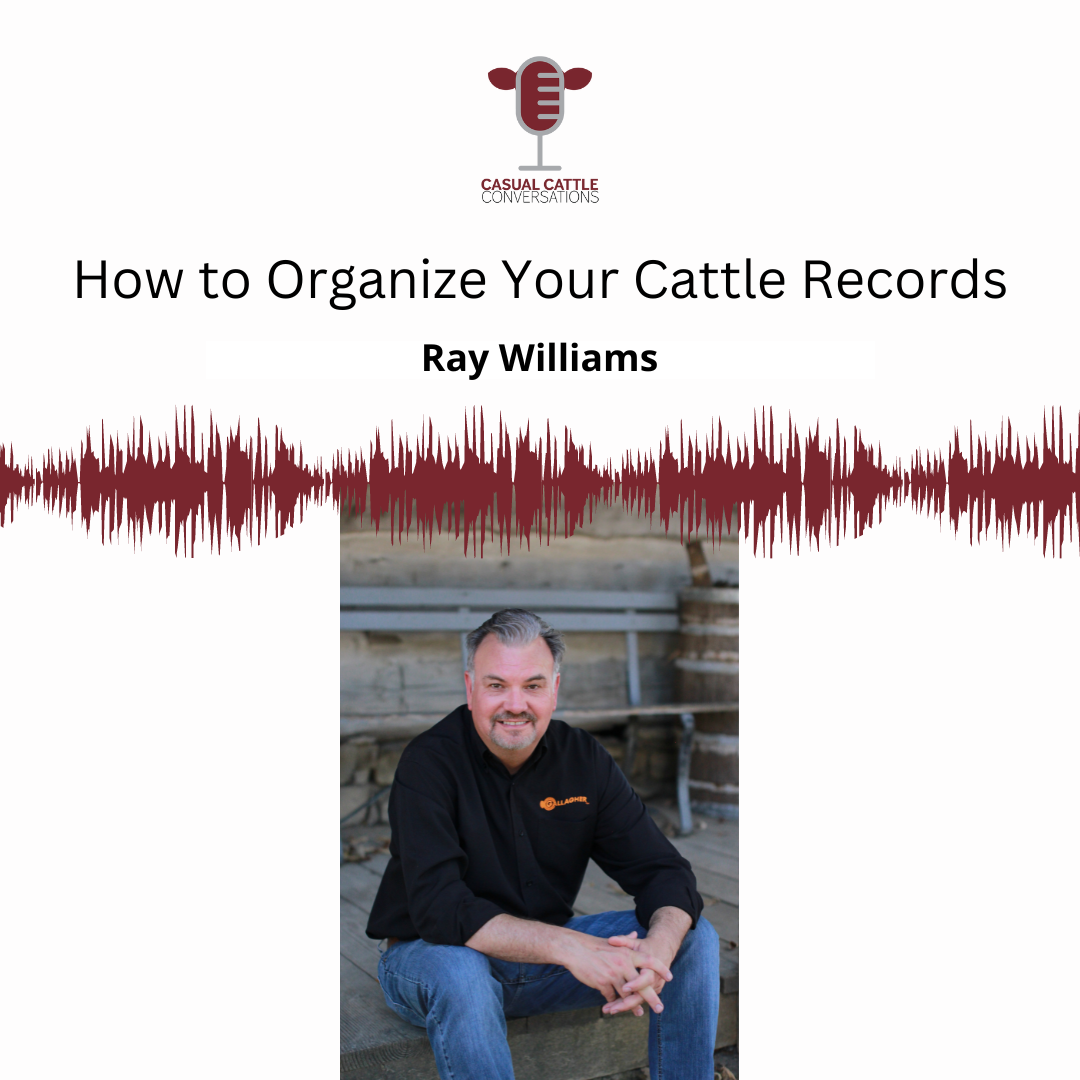Casual Cattle Conversations - Ray Williams