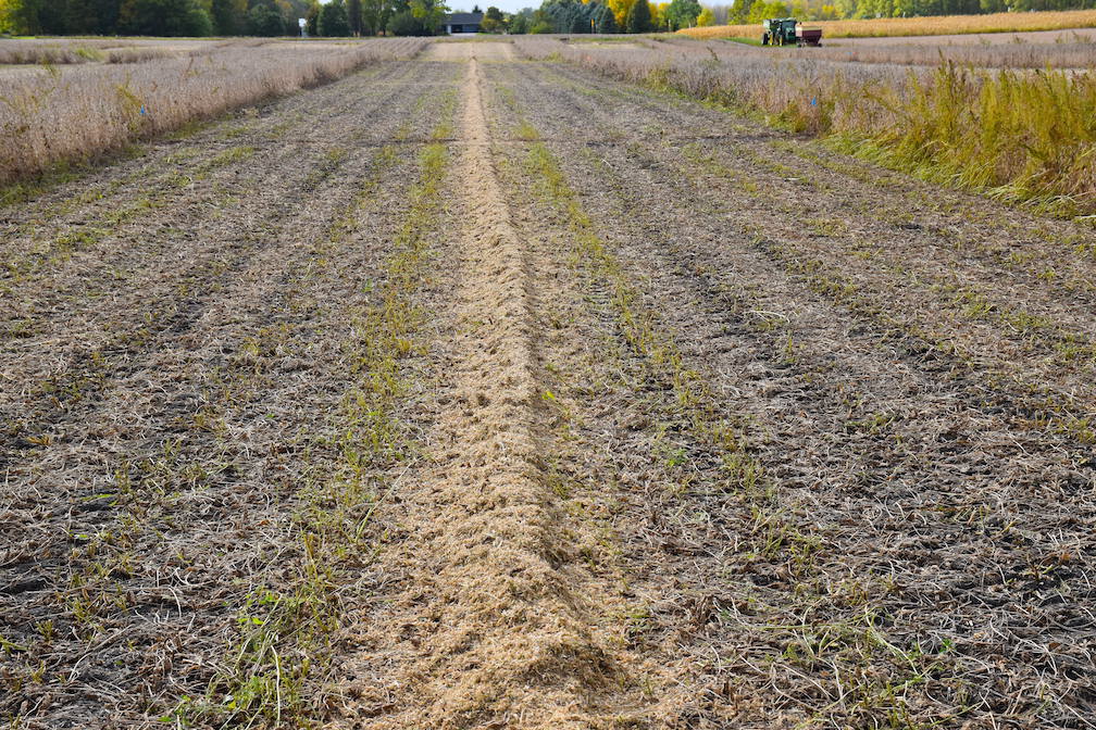 Chaff Lining Rows