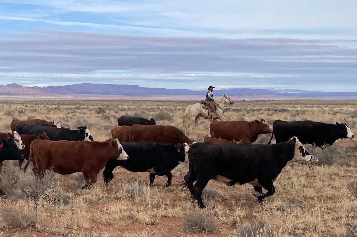 my ancestors built this ranch