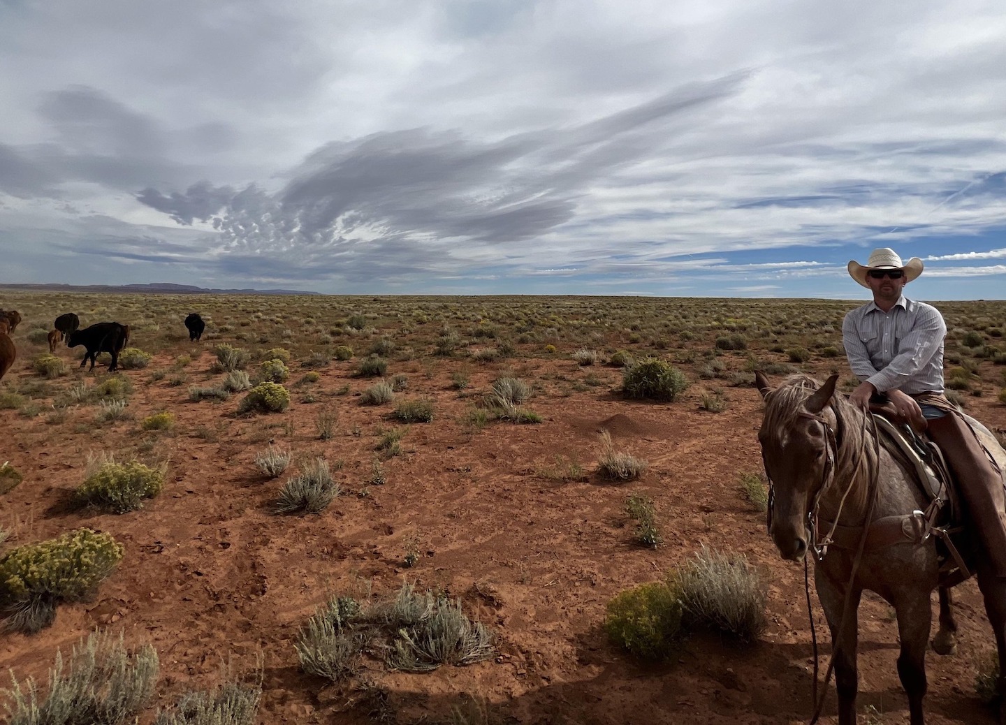 Chris Heaton Rancher Arizona Utah