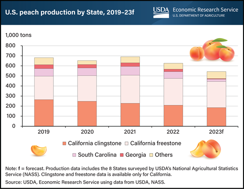 USDA ERS peach chard