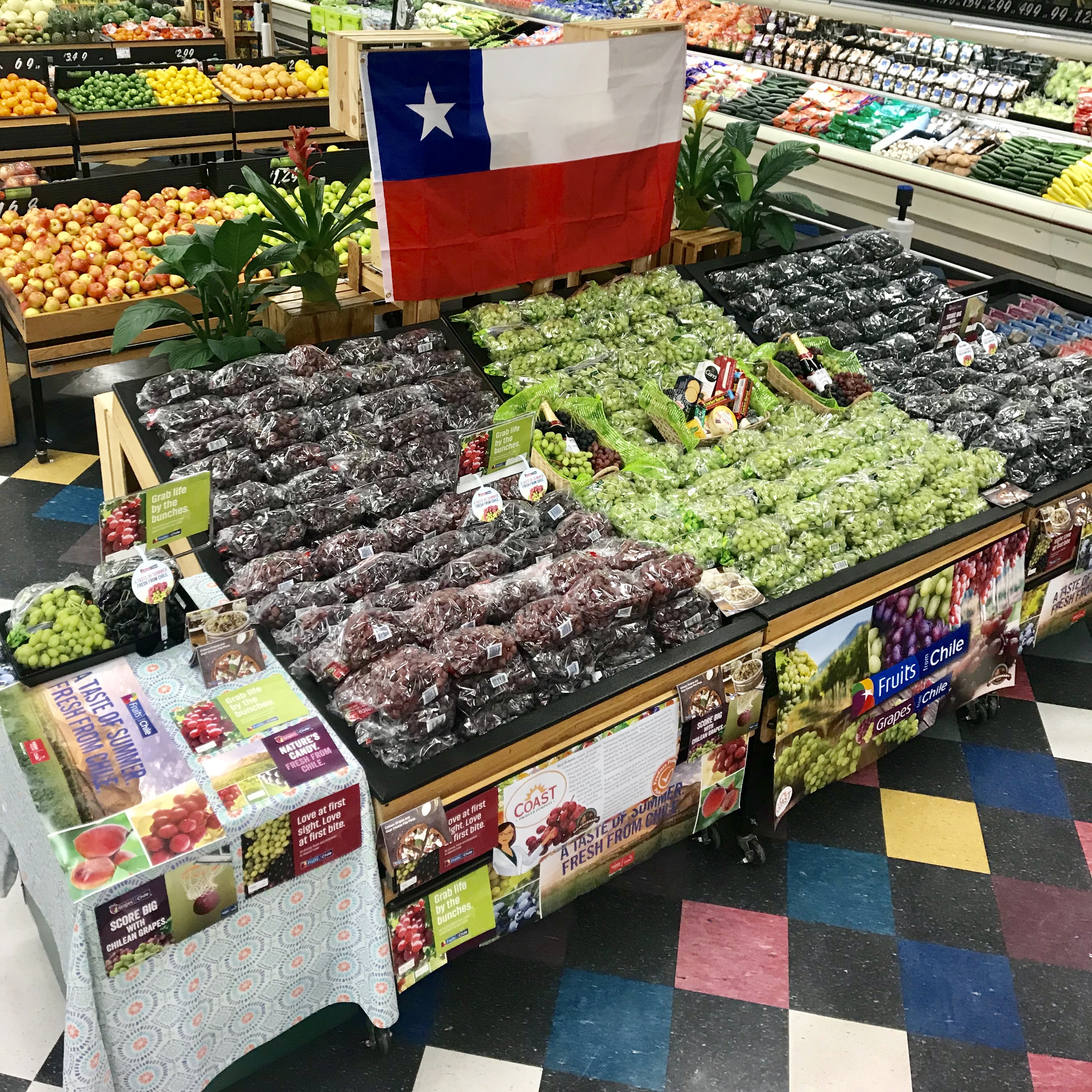 Chilean Fresh Plum Market to the United States Reopens under
