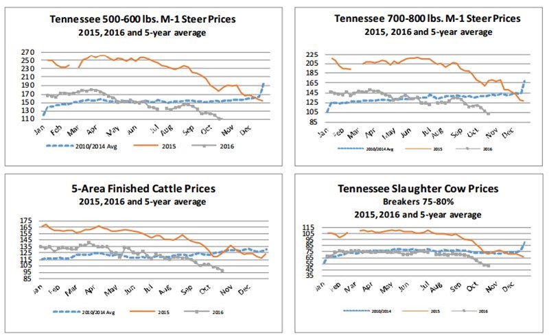 Market Highlights Undervalued Cattle Agweb