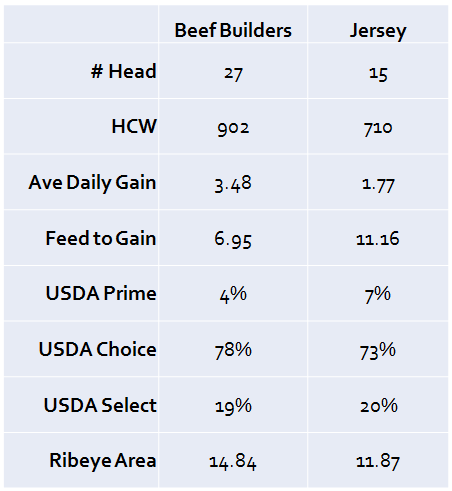 Jersey Calf Weight Chart