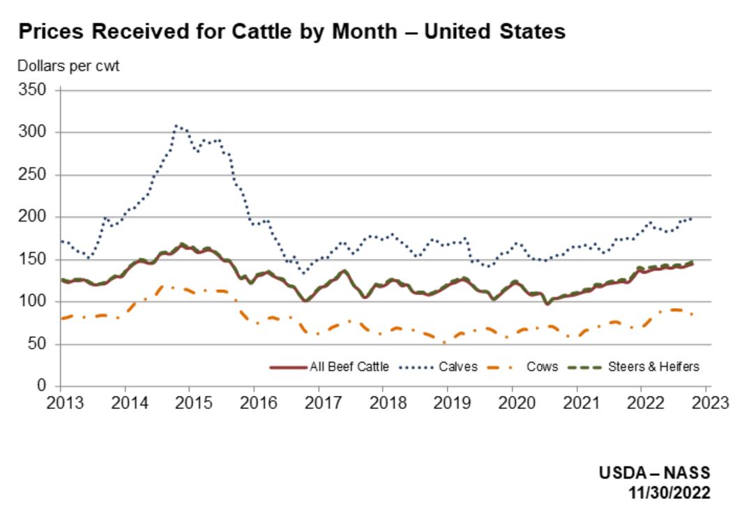 Cattle Prices since 2013