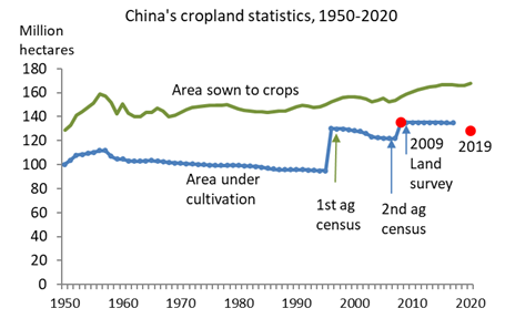 China cropland