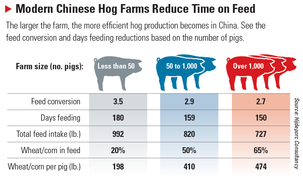 Chinese Hog Production