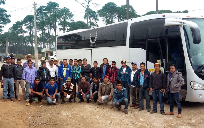 Cierto farm workers stand outside a bus
