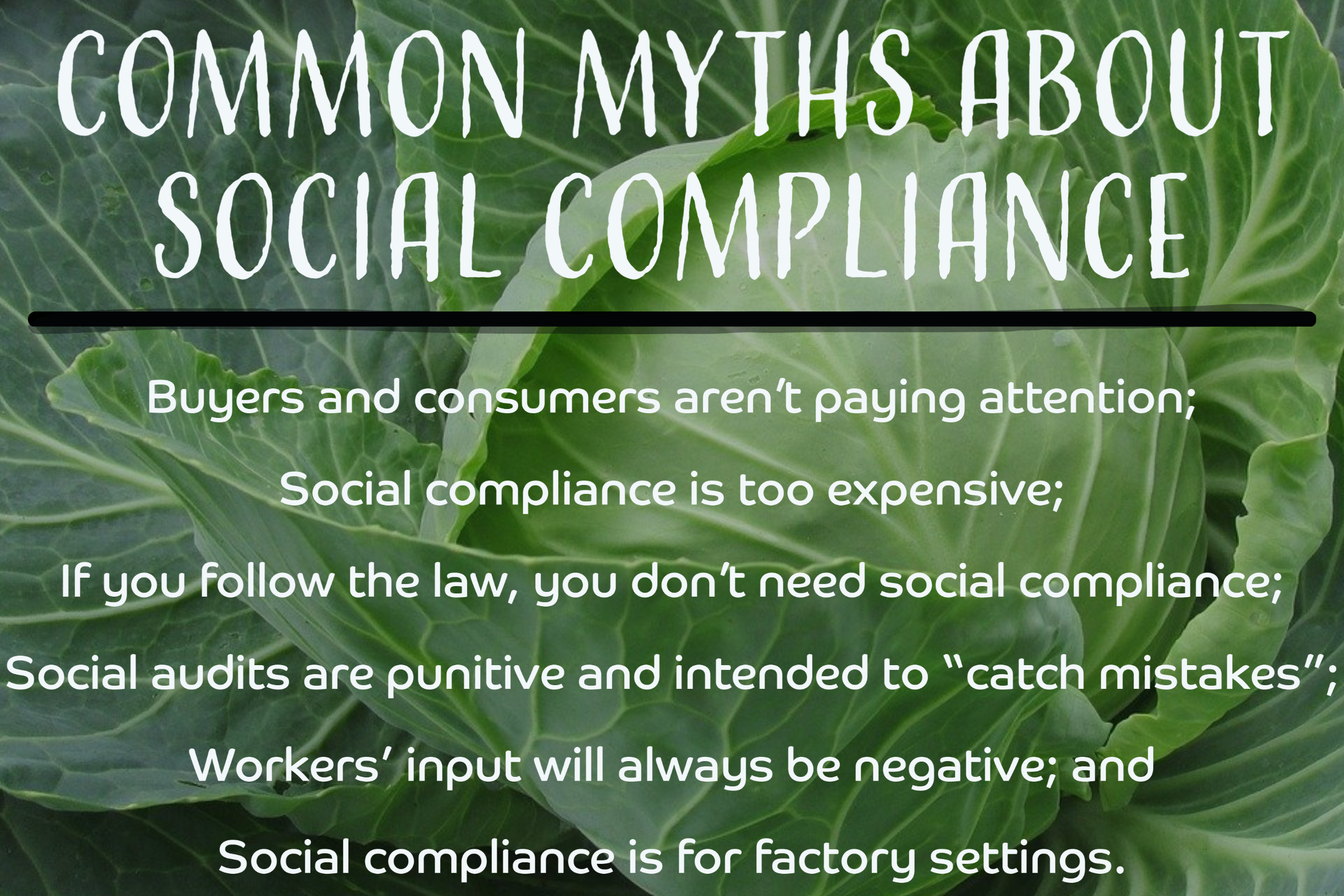 common myths