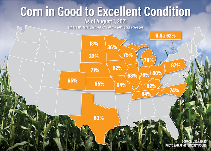 corn conditions