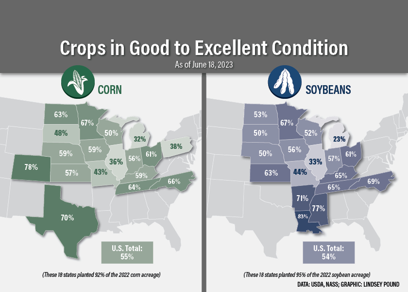 Corn and soybean conditions 6-18-2023