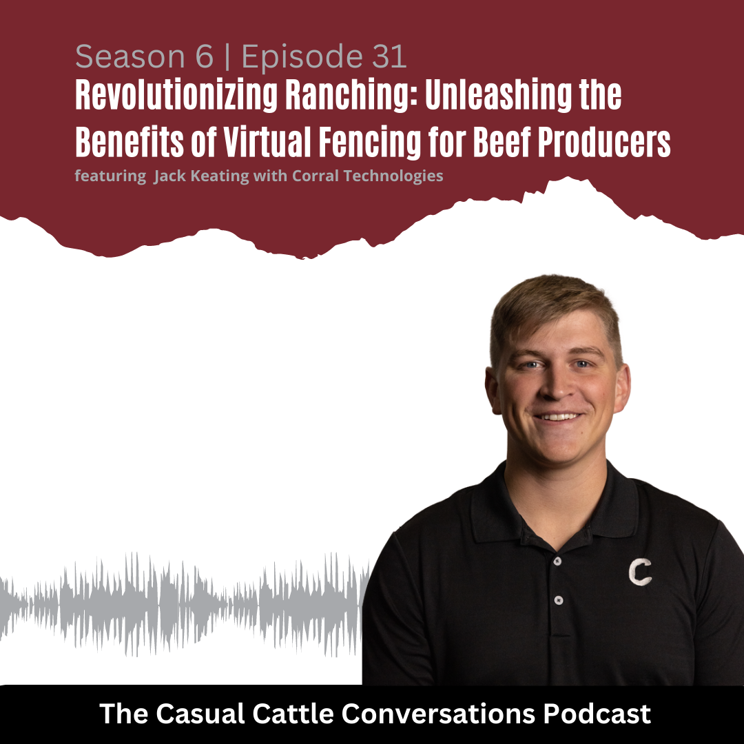 Corral Technology - Casual Cattle Conversations
