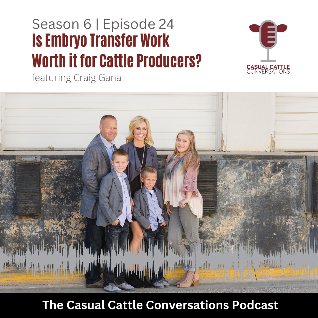 Craig Gana - Casual Cattle Conversations