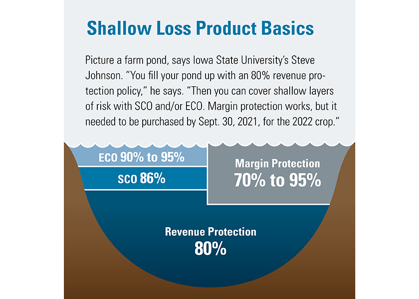 Shallow Loss Products